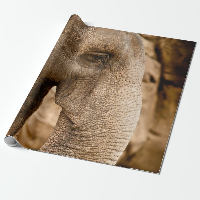 ELEPHANT WRAPPING PAPER (Unrolled)