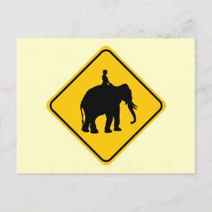 Elephantback Rider Crossing Postcard