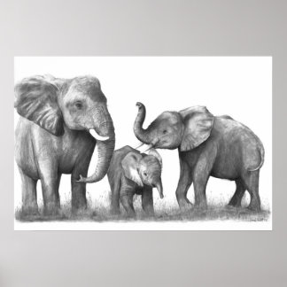 Elephants_3 Poster