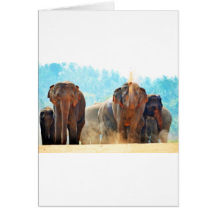 Elephants Animals Safari Destiny Peace Love