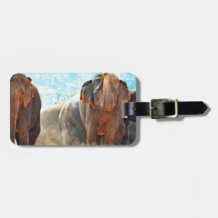 Elephants Animals Safari Destiny Peace Love Luggage Tag