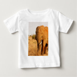 Elephants Baby T-Shirt
