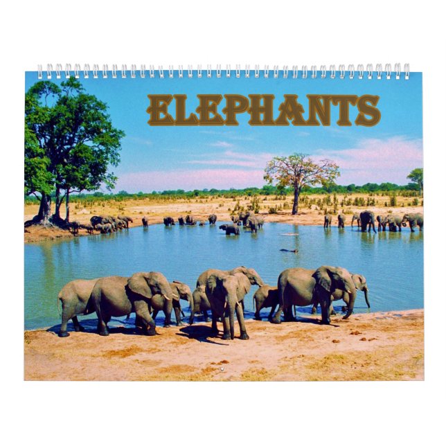 elephants  calendar (Cover)