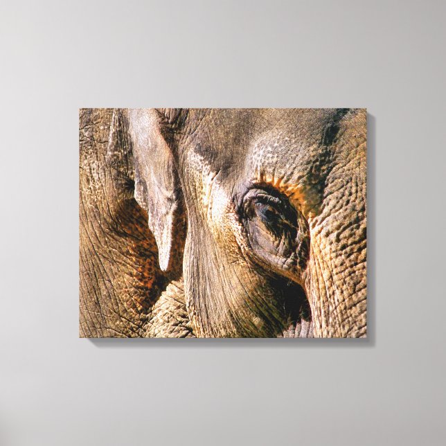 ELEPHANTS CANVAS PRINT (Front)