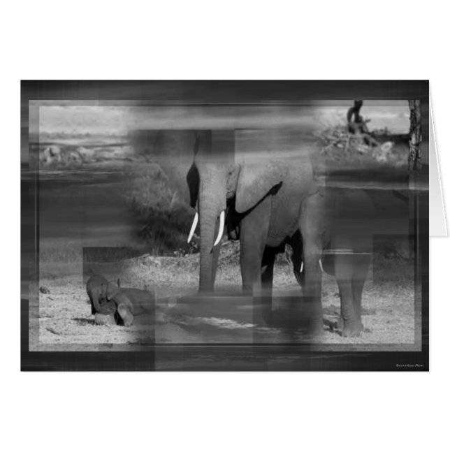 Elephants Card (Front Horizontal)