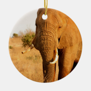 Elephants Ceramic Ornament