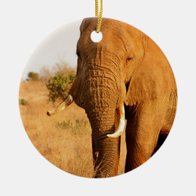 Elephants Ceramic Ornament (Front)