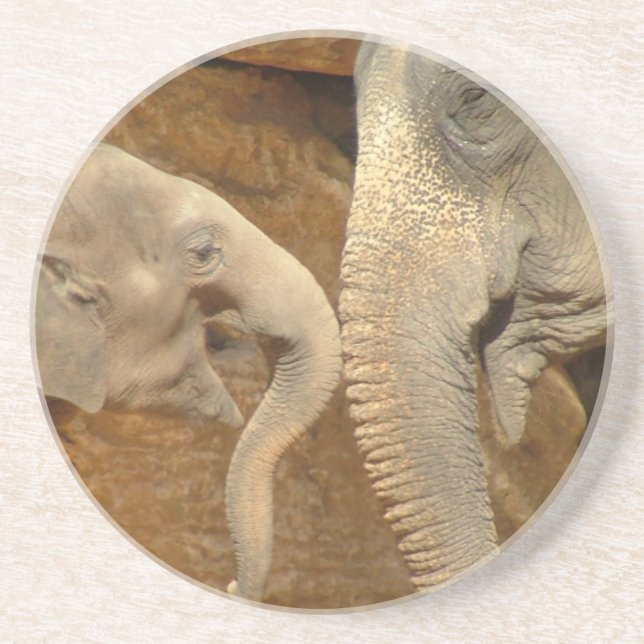 ELEPHANTS COASTER (Front)