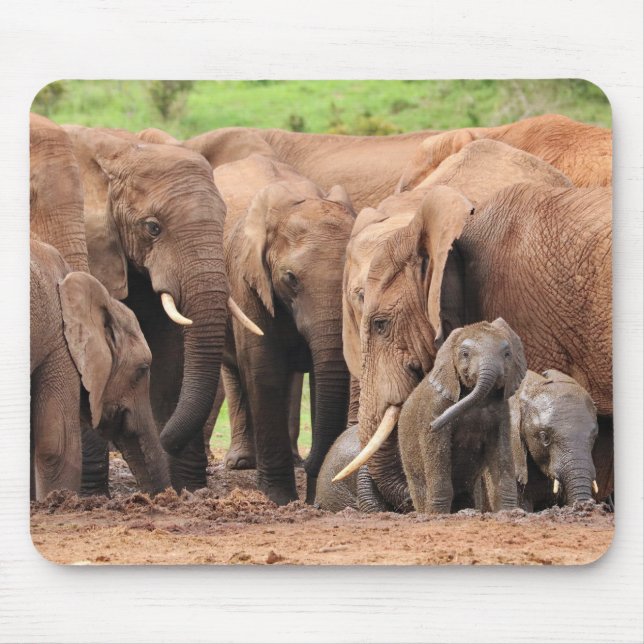 elephants cute mouse pad (Front)