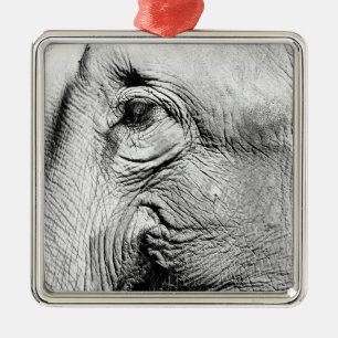 Elephants Eye, 2017 Metal Ornament