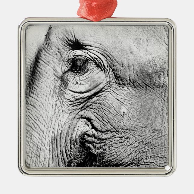 Elephants Eye, 2017 Metal Ornament (Front)