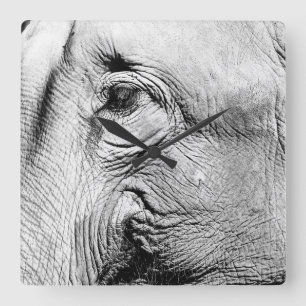 Elephants Eye, 2017 Square Wall Clock