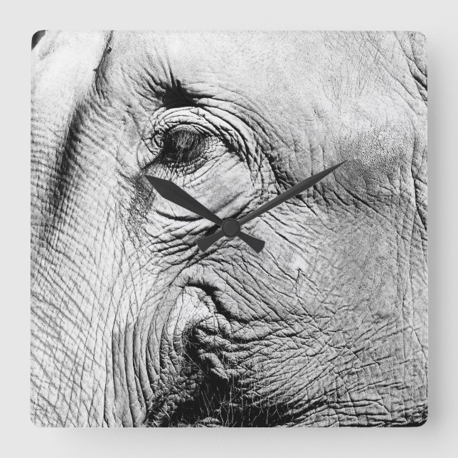 Elephants Eye, 2017 Square Wall Clock (Front)