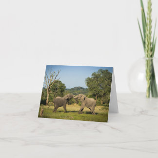 Elephants Fighting Folded Greeting Card