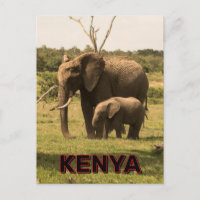 Elephants Grazing In Kenya
