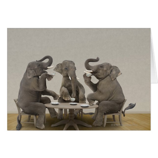 Elephants having tea party (Front Horizontal)