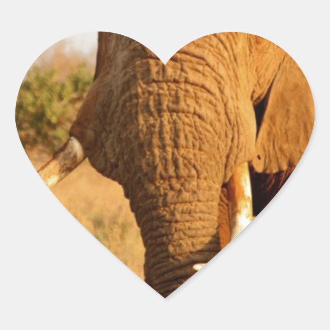 Elephants Heart Sticker (Front)