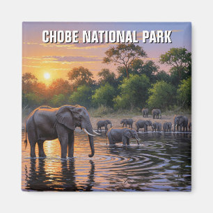 Elephants in Chobe National Park Botswana Magnet