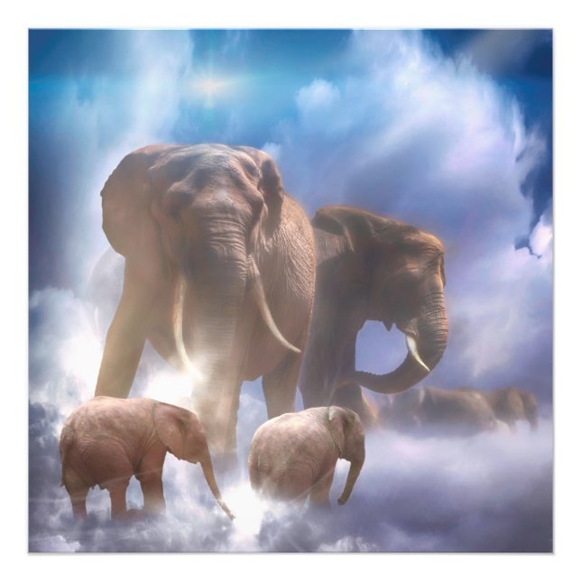 Elephants in Heaven Photo Print (Front)