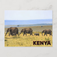 Elephants In Kenya