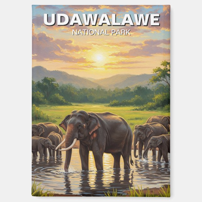 Elephants in Sri Lanka Udawalawe National Park Magnet (Front)