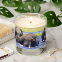 Elephants in the Chobe River Scented Candle