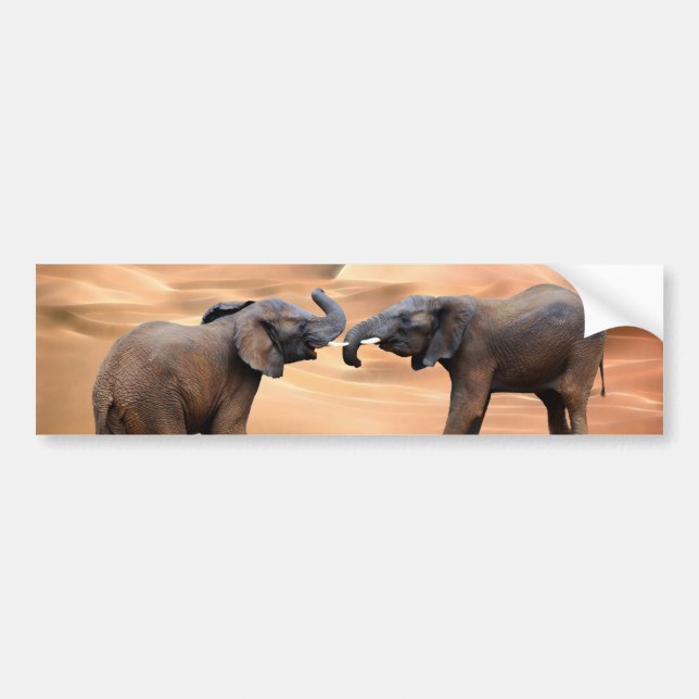 Elephants in the desert bumper sticker (Front)