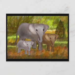 Elephants in the Rainforest Postcards