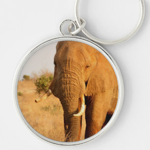 Elephants Key Ring
