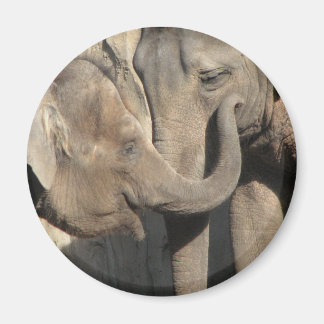 Elephants Magnet