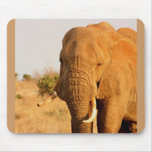 Elephants Mouse Pad