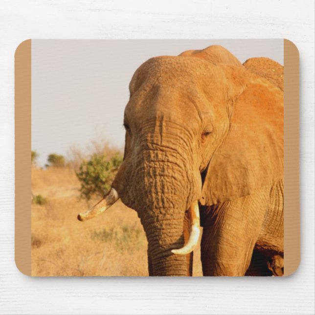 Elephants Mouse Pad (Front)