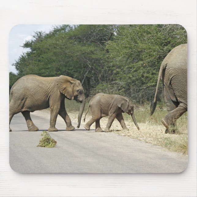 Elephants Mouse Pad (Front)