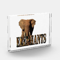 Elephants Name Made From Elephants,