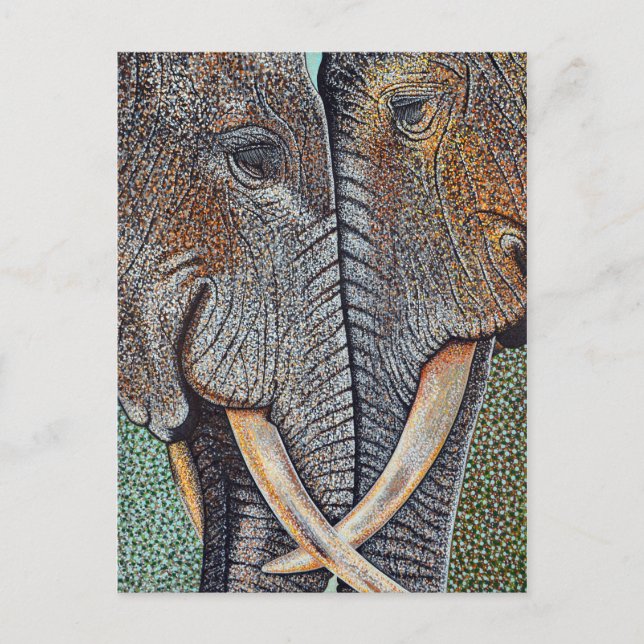 Elephants Never Forget Postcard (Front)