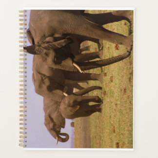 Elephants of Chobe Planner