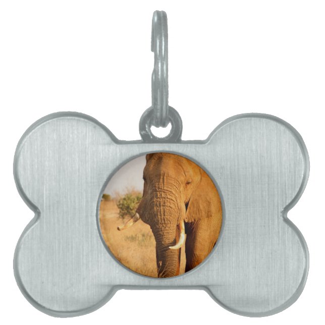 Elephants Pet ID Tag (Front)