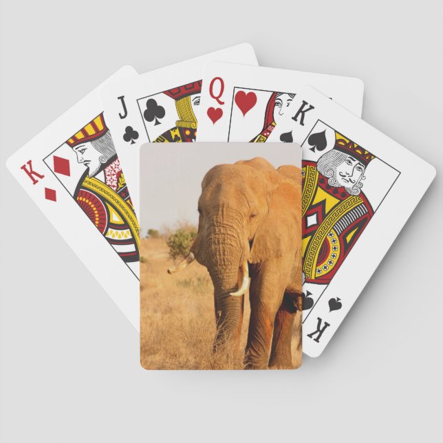 Elephants Playing Cards (Back)