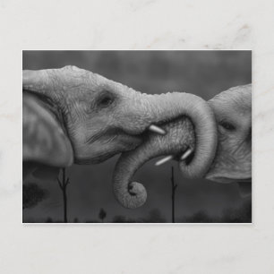 Elephants Postcard