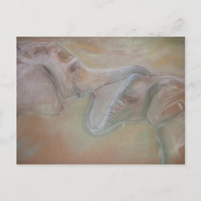 Elephants postcard (Front)