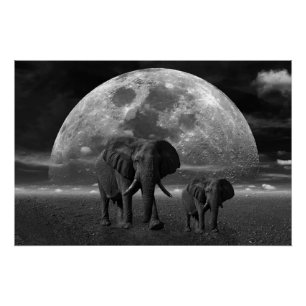 Elephants Poster