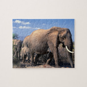 Elephants Puzzle