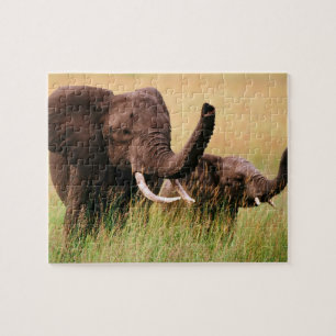 Elephants Puzzle