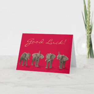 Elephants Quartet Card