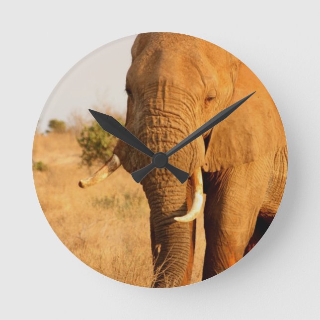 Elephants Round Clock (Front)