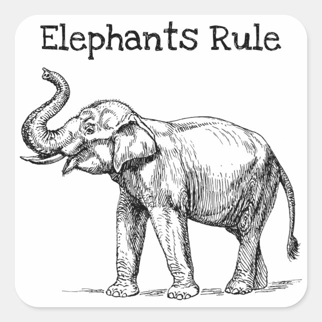 Elephants Rule Square Sticker (Front)