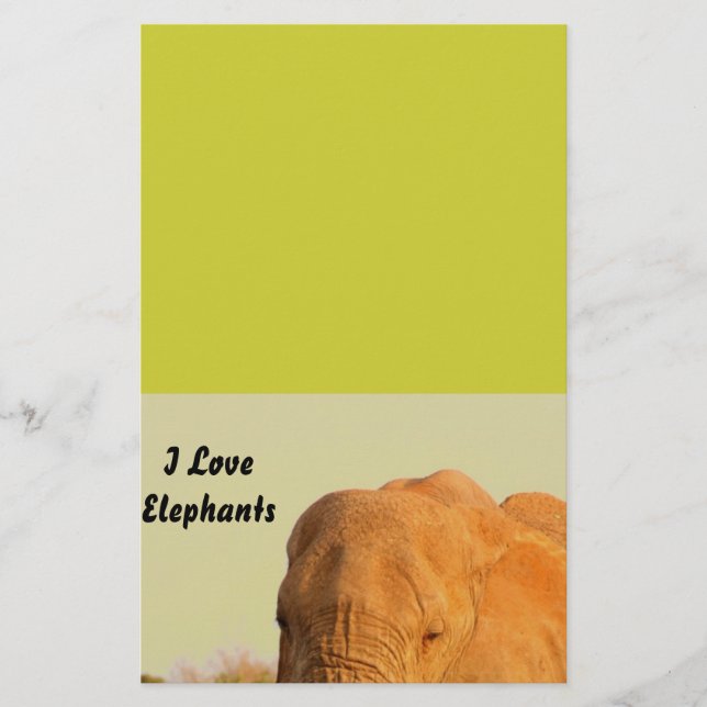 Elephants Stationery (Front)