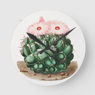Elephant's Tooth Cactus Flower illustration Round Clock