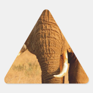 Elephants Triangle Sticker