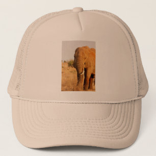 Elephants Trucker Hat